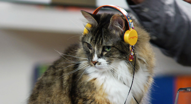 deadmau5 cat headphones