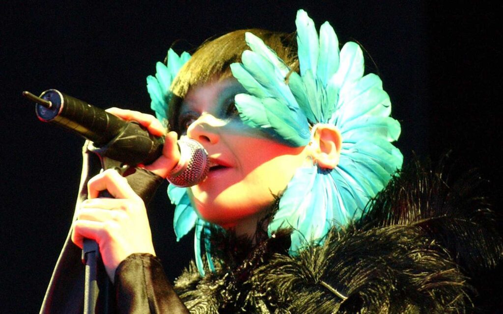 Bjork late show