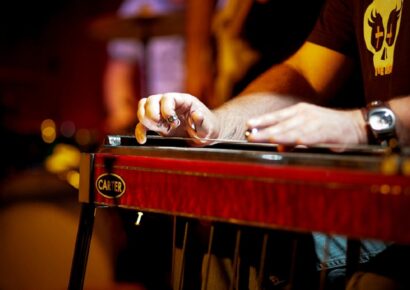 Pedal steel guitar