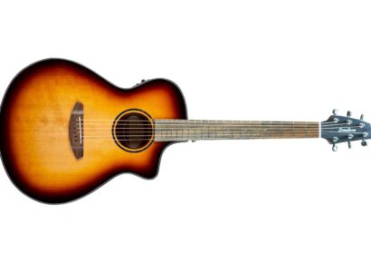 Breedlove Discovery