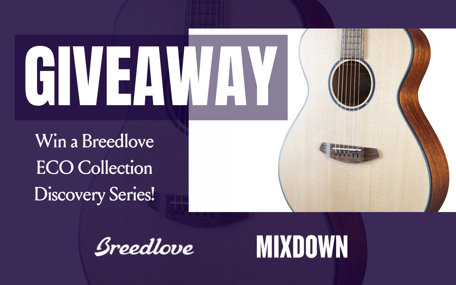 Breedlove Giveaway