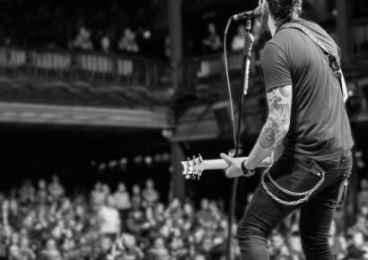 PRS Guitars Pulse