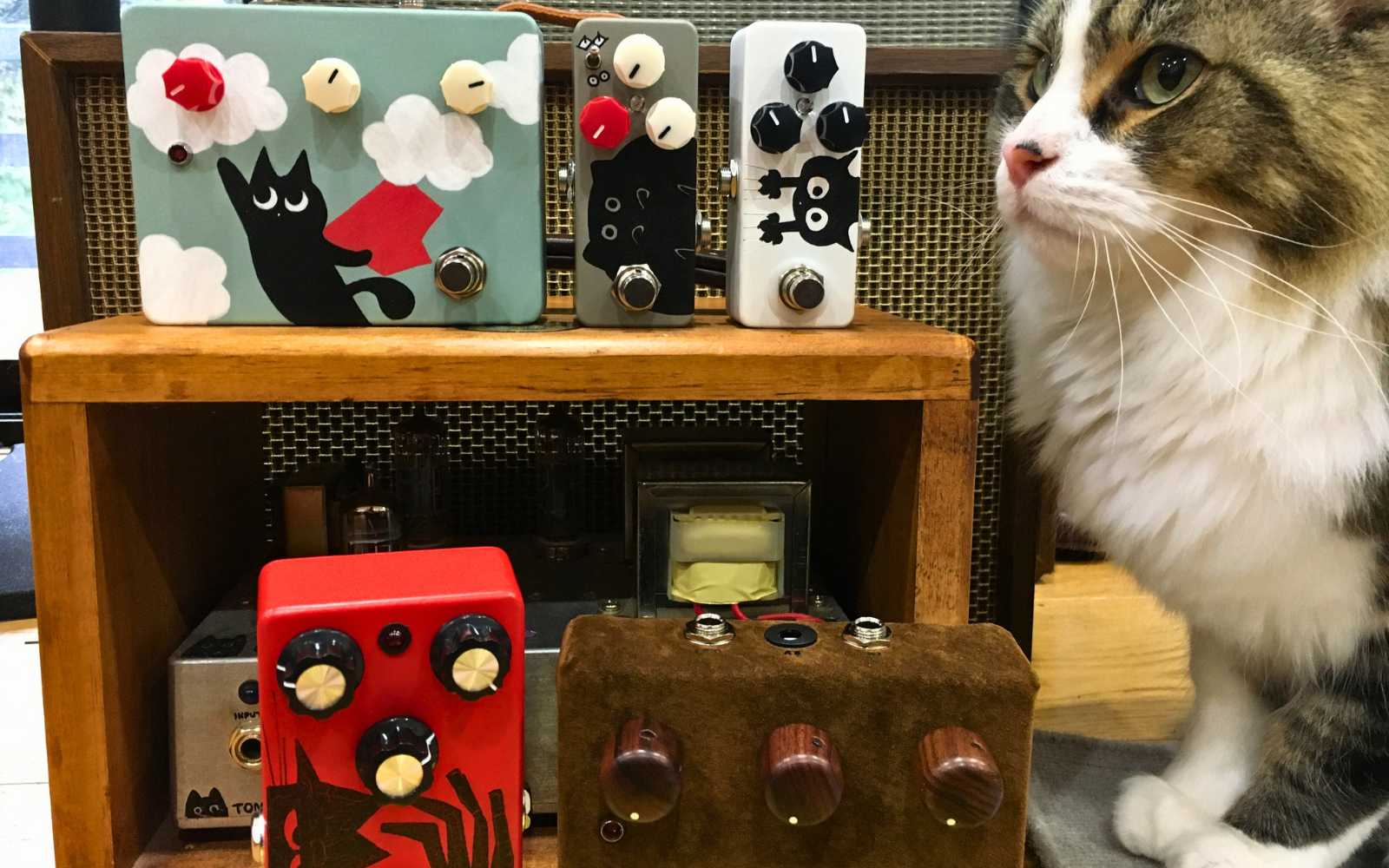Tonecat boutique guitar pedals