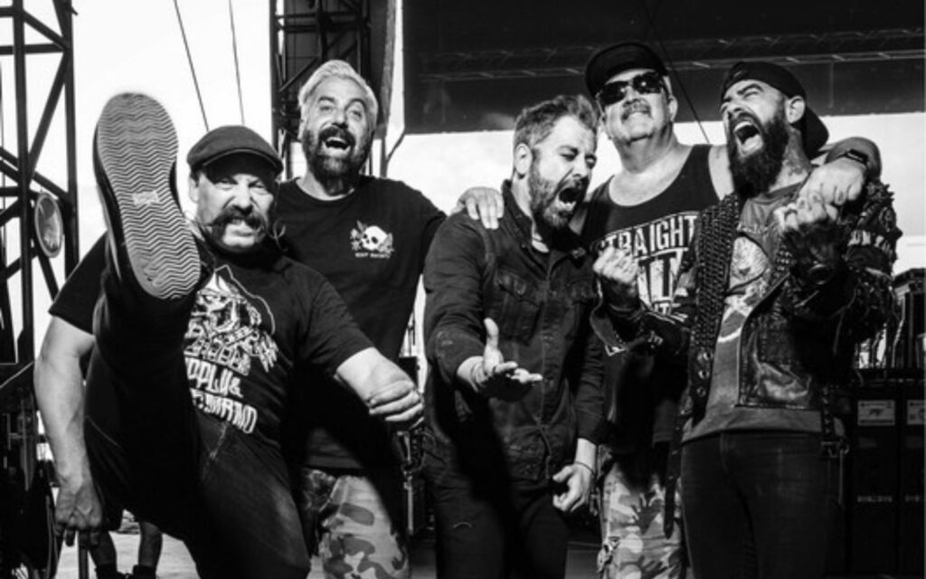 zebrahead australia