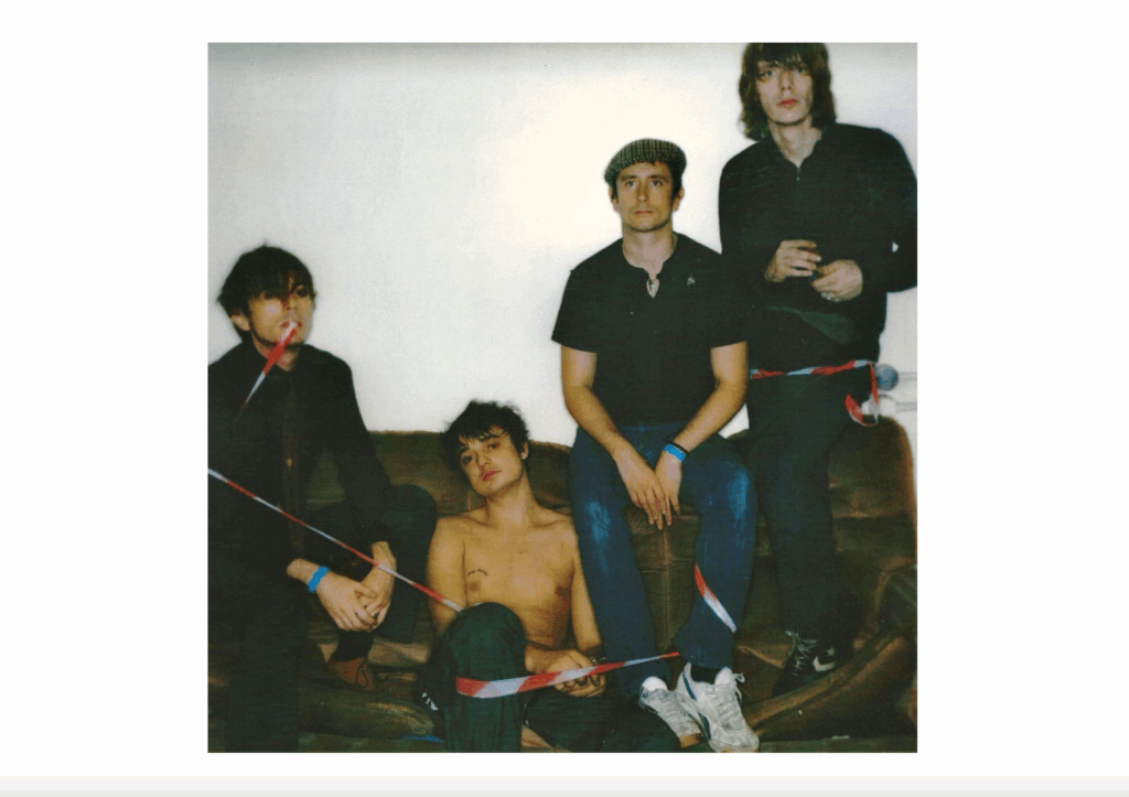 babyshambles down in albion