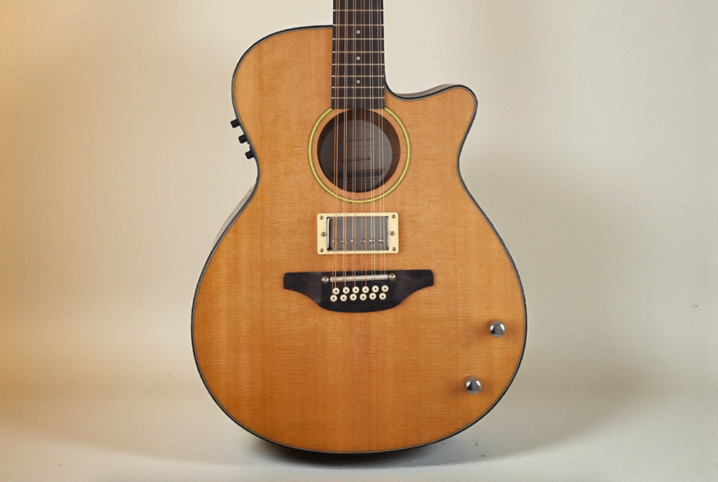 Haze Guitar 12-String Hybrid