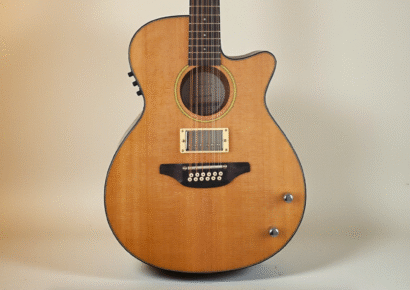 Haze Guitar 12-String Hybrid