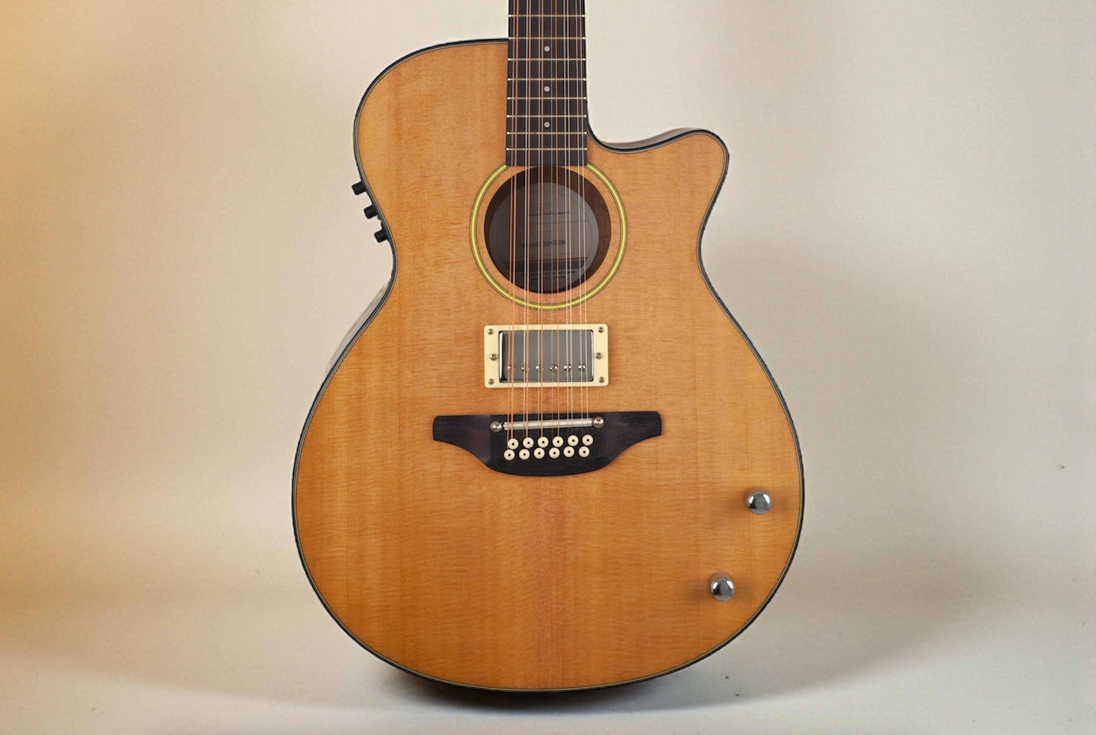 Haze Guitar 12-String Hybrid