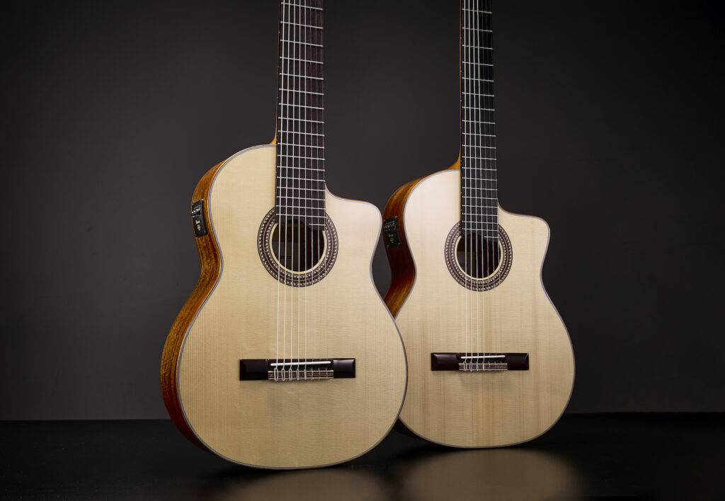 ibanez guitars australia