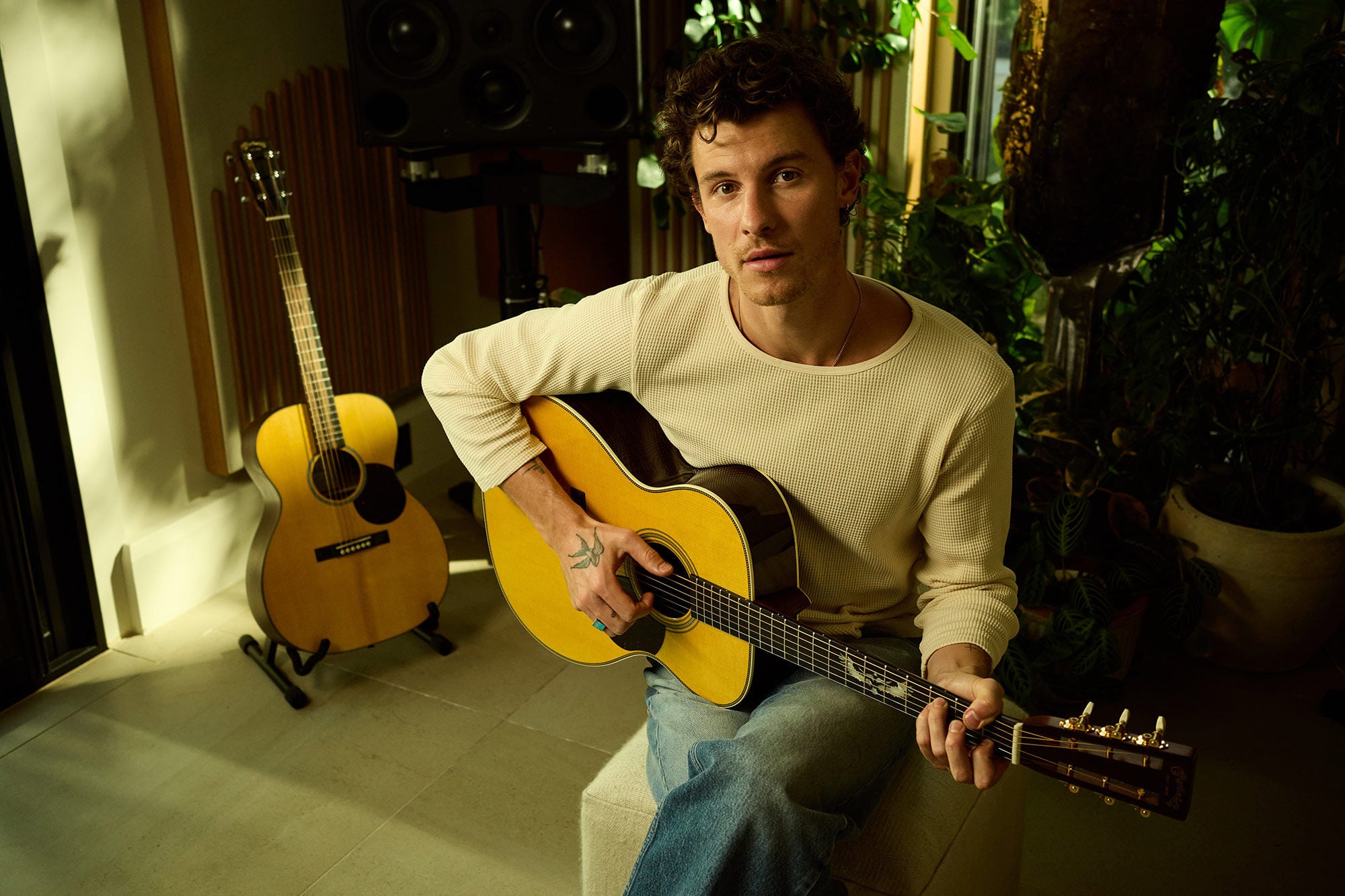 Martin Shawn Mendes signature guitar